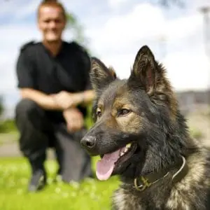 Police k9 | Michigan Medicine Security K9 Officer | Police K9 Fundraiser