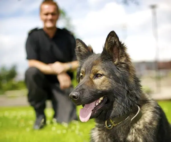 Police k9 | Michigan Medicine Security K9 Officer | Police K9 Fundraiser