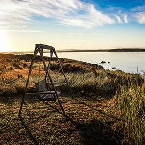 Swing on the grass near a lake | RPA's Financial Assumptions article
