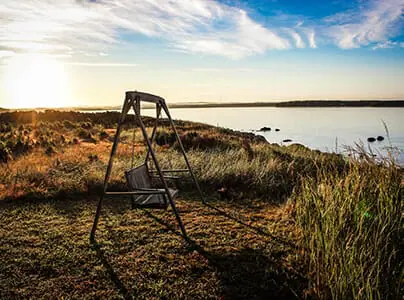 Swing on the grass near a lake | RPA's Financial Assumptions article