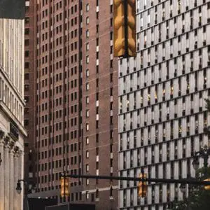 MLC May Updates