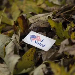I voted sticker