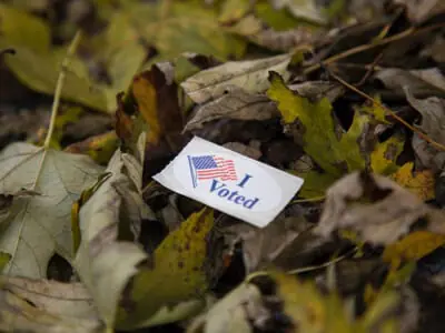 I voted sticker