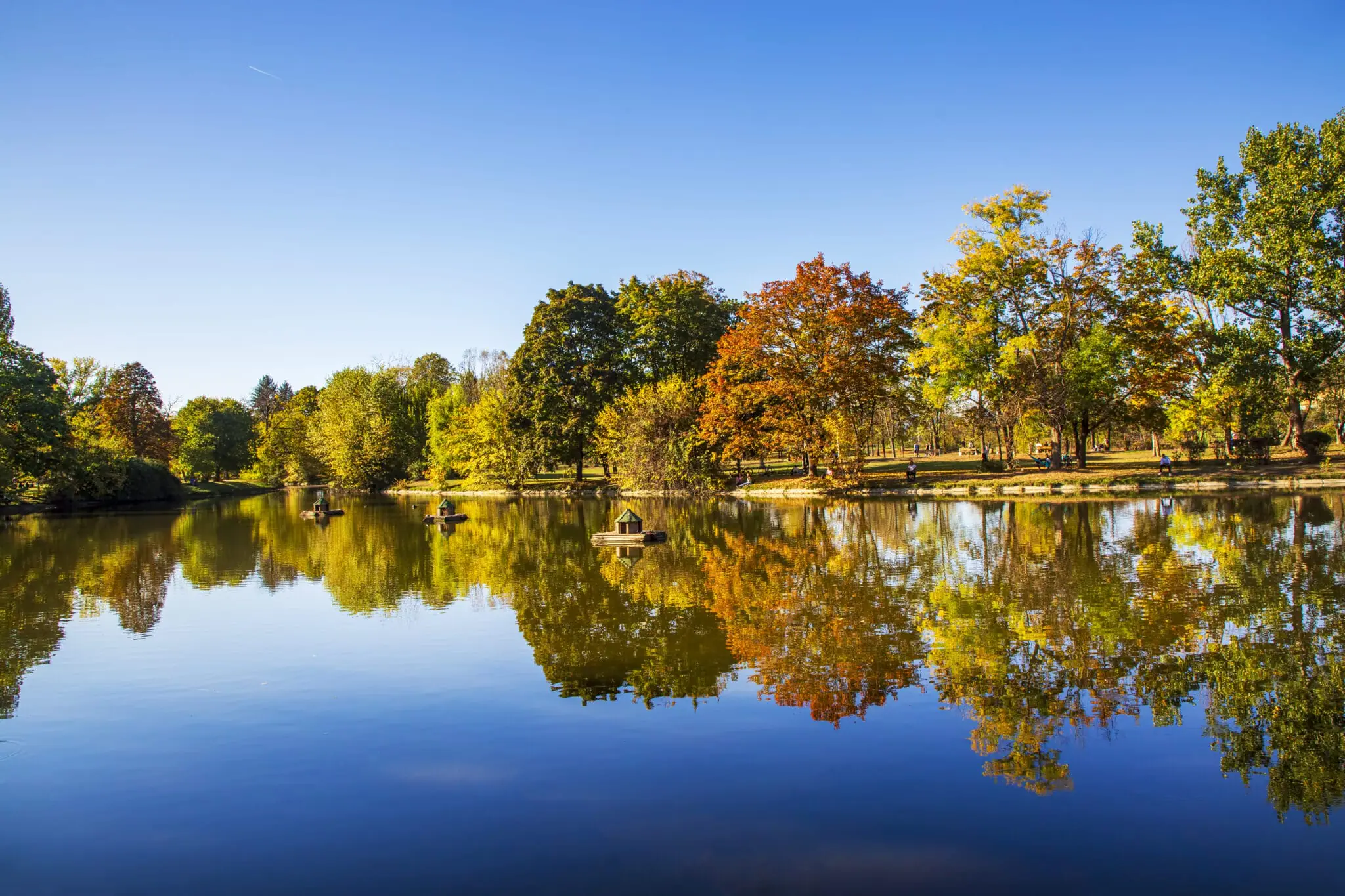 City park with yellowed leaves on the trees in autumn | Huron-Clinton Metroparks